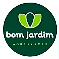 Camada 6